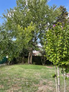 A garden outside ONLY THE BEST 5 tra Venezia e Treviso