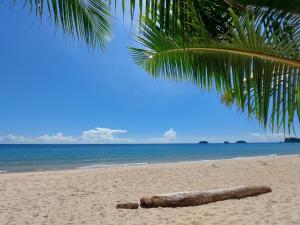 um ramo de árvore numa praia arenosa com o oceano em Papaya Cottage Koh Chang em Ko Chang