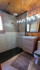 ein Bad mit einer Dusche, einem Waschbecken und einem WC in der Unterkunft Magical Hideaway in Leysin