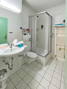 a bathroom with a shower and a toilet and a sink at Apartman Mitterdorf in Philippsreut