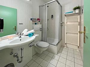 a bathroom with a toilet and a sink and a shower at Apartman Mitterdorf in Philippsreut