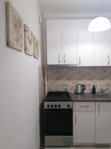 Кухня или мини-кухня в LAROKA HOUSE Cosy and modern apartment Universitate-City Centre
