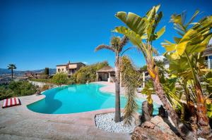 basen z palmami i dom w obiekcie Villa Paradiso Premium 3 bedroom villa with private pool w Cannes