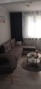 salon z kanapą i stołem w obiekcie Apartament Klonowa w Poznaniu