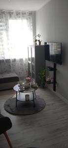 TV a/nebo společenská místnost v ubytování Apartament Klonowa