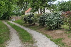 une route en gravier dans une cour avec des buissons et une maison dans l'établissement La Bocagère d' Henri, à Saint-Côme-du-Mont
