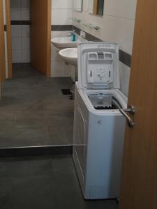 a washing machine in a bathroom with a sink at Sonnenhof in Weilmünster