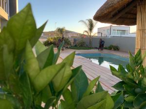 a backyard with a swimming pool and some plants at Almina villa in Windhoek