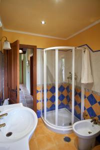 a bathroom with a shower and a white sink at Casa Gelito in Espinareda de Vega