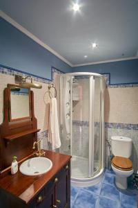 uma casa de banho com um chuveiro, um WC e um lavatório. em Casa Gelito em Espinareda de Vega