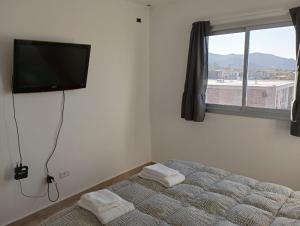 1 dormitorio con 1 cama y TV en la pared en DEPARTAMENTOS LEMOS en Mendoza