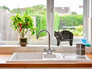 a kitchen sink with a black cat statue in a window at Pass the Keys Spacious 4 Bedroom home with Parking Garden in Barry