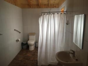 La salle de bains est pourvue d'un rideau de douche blanc et de toilettes. dans l'établissement Los Quenes River Lodge, à Los Queñes