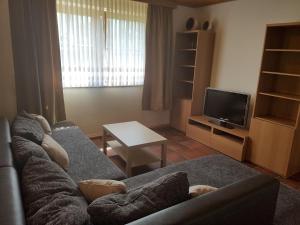 sala de estar con sofá y TV en Ferienwohnung Resch, en Ramsau