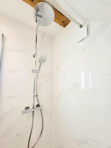 une douche avec pommeau de douche dans une salle de bain dans l'établissement Charmant appartement 2 chambres 400 m centre gare, à Valence 7 autres photos