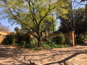 uma árvore no meio de uma entrada em Eliora em Randfontein
