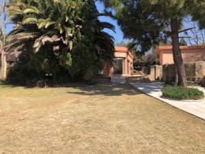 una casa con una palmera en un patio en Eliora, en Randfontein