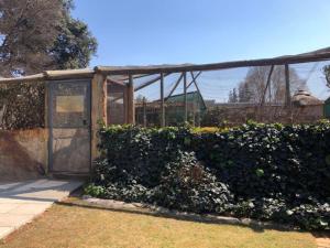Un jardín con una puerta y un arbusto. en Eliora, en Randfontein