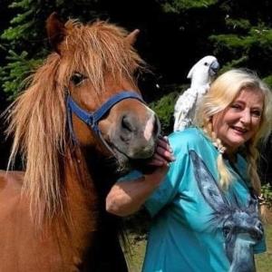 a woman standing next to a horse with a bird on her shoulder at The parrot hotel, live in a rescue animal park in Næstved