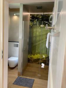 La salle de bains est pourvue d'une douche en verre et de toilettes. dans l'établissement Domki Largo nad Jeziorem Wdzydze, à Borsk