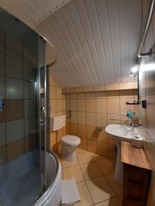a bathroom with a shower and a toilet and a sink at Willa Krokus in Miedzygorze