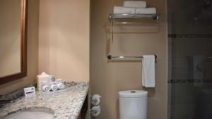 a bathroom with a toilet and a sink and a shower at Holiday Inn Express and Suites Celaya, an IHG Hotel in Celaya