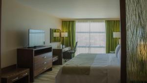 Cette chambre comprend un lit et une télévision à écran plat. dans l'établissement Holiday Inn Express and Suites Celaya, an IHG Hotel, à Celaya