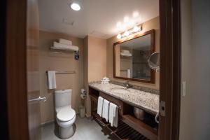 La salle de bains est pourvue de toilettes, d'un lavabo et d'un miroir. dans l'établissement Holiday Inn Express and Suites Celaya, an IHG Hotel, à Celaya