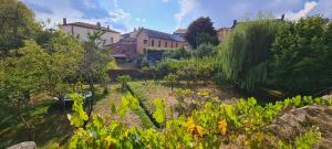 Vonkajšia záhrada v ubytovaní Les Hauts de St Jacques maison d'exception 300m2, jardin arboré 2000m2