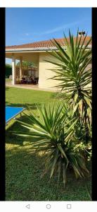 The swimming pool at or close to Green Garden
