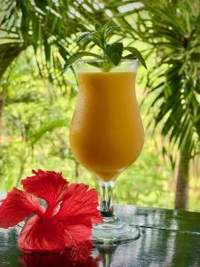 a glass of orange juice and a red flower on a table at Firefly Estate Bequia in Crescent Beach
