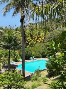 Kolam renang di atau dekat dengan Firefly Estate Bequia