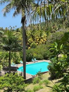 a swimming pool in a resort with palm trees at Firefly Estate Bequia in Crescent Beach
