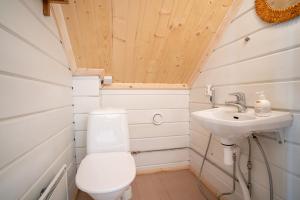ein kleines Badezimmer mit Toilette und Waschbecken in der Unterkunft Patalaiska Cottage with private beach in Ruokolahti + 35 Fotos