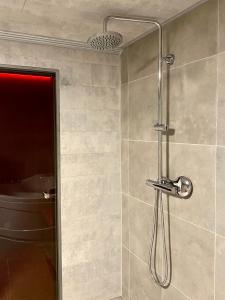 a shower in a bathroom with a toilet at Superbe logement près de Bruxelles avec spa privé in Brussels