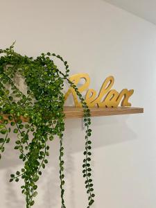 a wooden sign with a plant on a wall at Superbe logement près de Bruxelles avec spa privé in Brussels