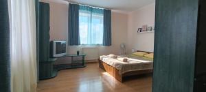 um quarto com uma cama e uma televisão em VIP Apartments in the Centre em Mukacheve