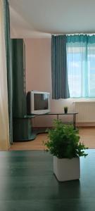 uma sala de estar com uma televisão e um vaso de plantas em VIP Apartments in the Centre em Mukacheve