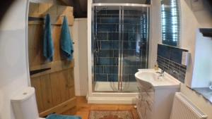 a bathroom with a shower and a sink and a toilet at The Barn - Trelash, North Cornwall in Warbstow
