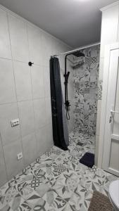 a shower with a shower curtain in a bathroom at Panorama Hotel & SPA in Chernivtsi