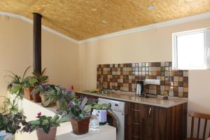 eine Küche mit einem Tisch mit Topfpflanzen in der Unterkunft Runada B&B in Sisian