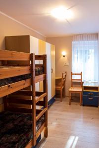1 Schlafzimmer mit 2 Etagenbetten in einem Zimmer in der Unterkunft Energetyczny Zakątek in Krzeszna