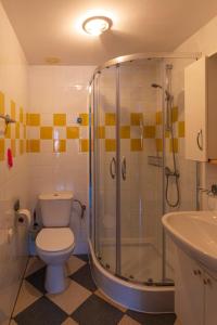 een badkamer met een douche, een toilet en een wastafel bij Energetyczny Zakątek in Krzeszna