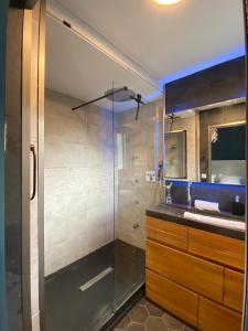 La salle de bains est pourvue d'une douche avec une porte en verre. dans l'établissement Le Malaga - parking & balcon, à 500m du lac !, à Annecy
