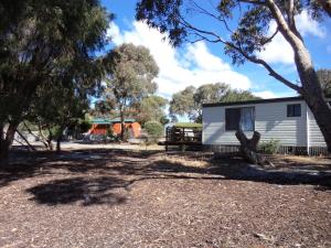 a tiny house in a park with trees at Bicheno East Coast Holiday Park in Bicheno