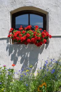 Giardino di Ansitz Fonteklaus
