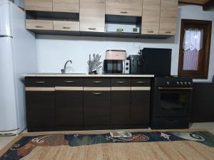 een keuken met een wastafel en een fornuis top oven bij Cabana DEMI in Gheorgheni