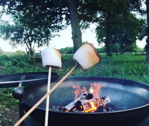 a bbq with two marshmallows cooking over a fire at The Owls Rest Shepherds Hut Hethel in Norwich