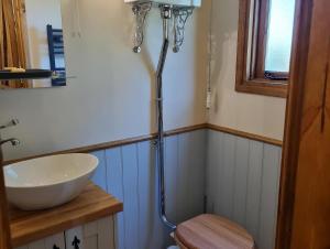 a bathroom with a shower and a toilet and a sink at The Owls Rest Shepherds Hut Hethel in Norwich
