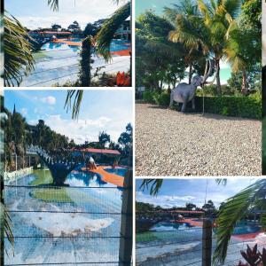 a collage of photos with an elephant and a pool at Condominio Palma Real in Granada